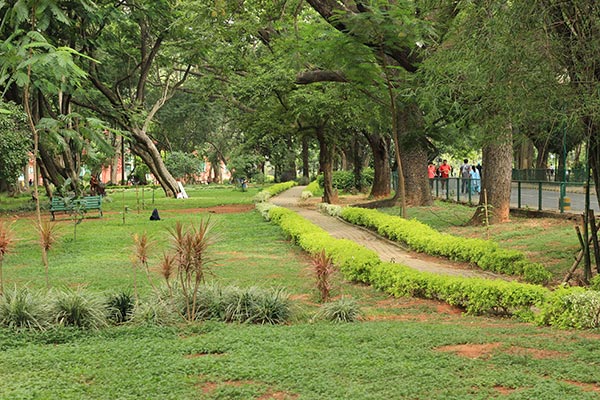 Cubbon-Park-Bangalore