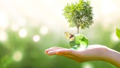 Earth Day 2024