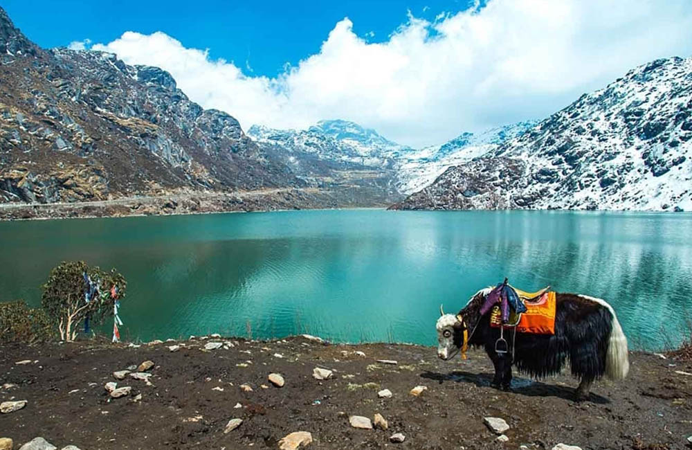 Kanchendzonga National Park