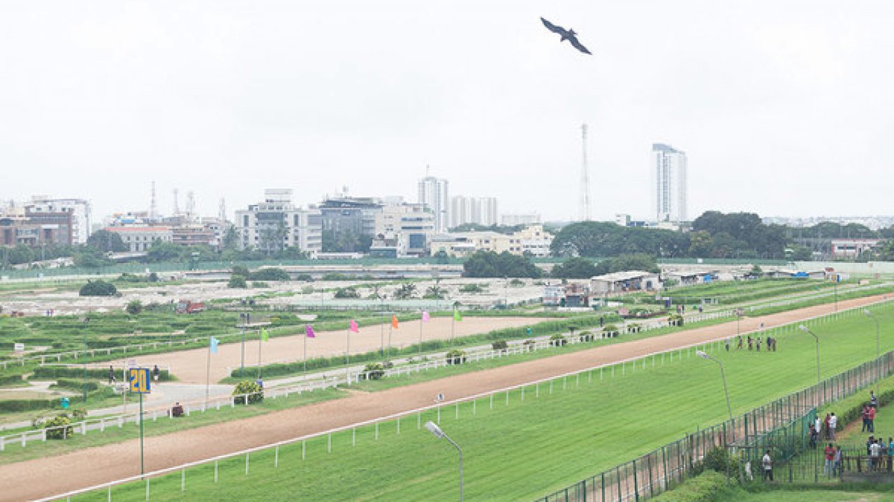 btc turf club