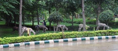 J P Park Bangalore