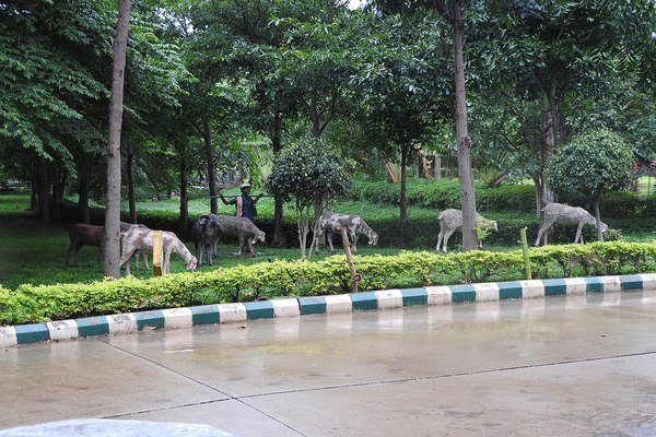 J P Park Bangalore