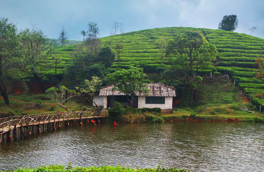 Vagamon