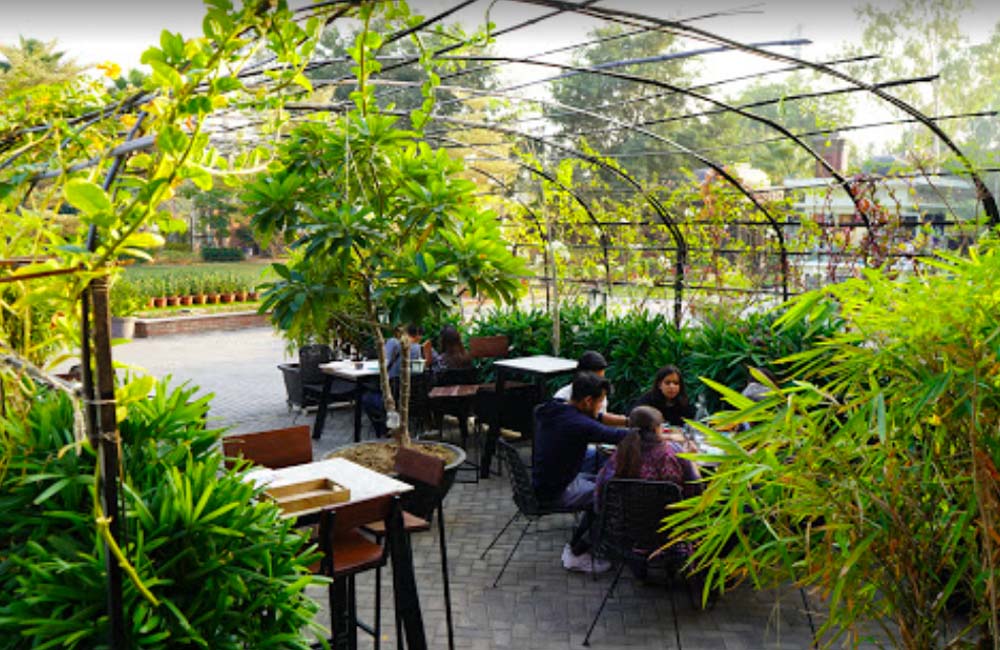 Greenr Café