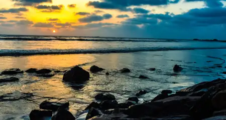 banner-image