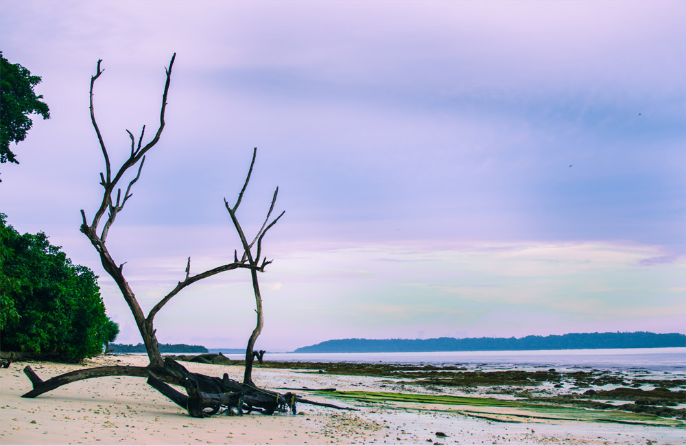 Kala Pathar Beach