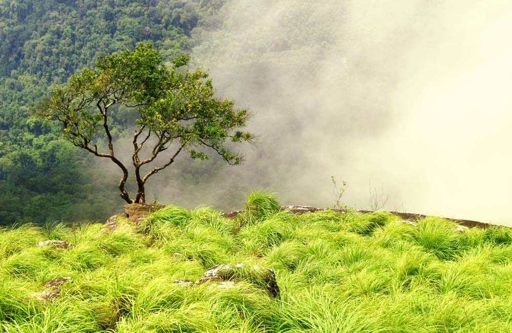 Ponmudi