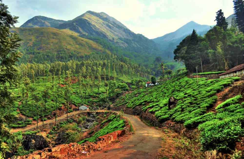 Chembra Peak