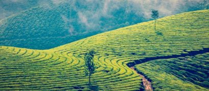 Hill Stations in Kerala