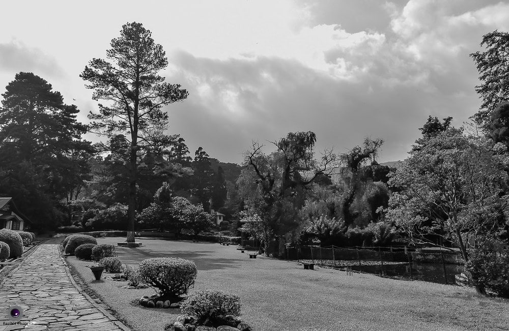 Lady Hydari Park