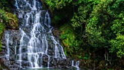 Places to Visit in Meghalaya