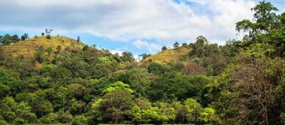 Places to Visit in Wayanad
