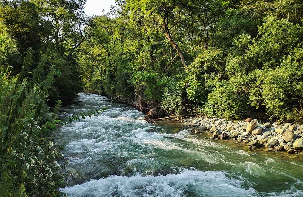 Dachigam National Park