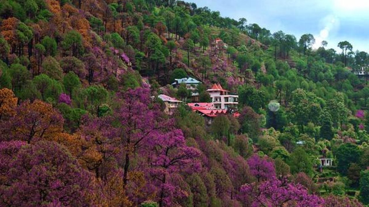 10 Best Places to Visit in Kasauli (2022) Tourist Places in Kasauli - FabHotels