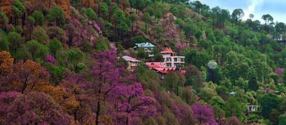 Places to Visit in Kasauli