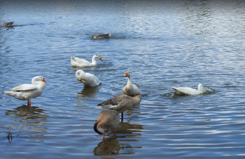 Sumendu Lake