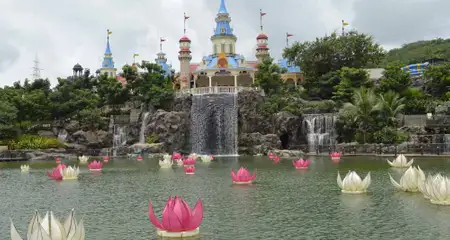 banner-image