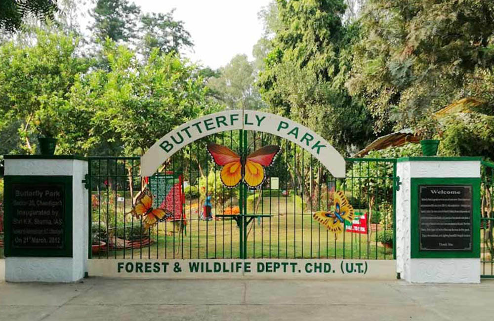 Butterfly Park Chandigarh
