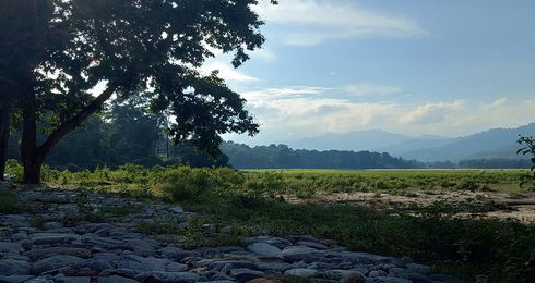 13 Things to do in Siliguri for an Unforgettable Holiday 2024