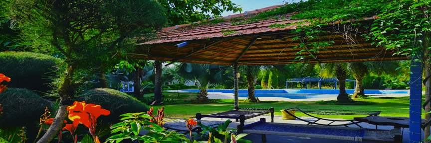 banner-image