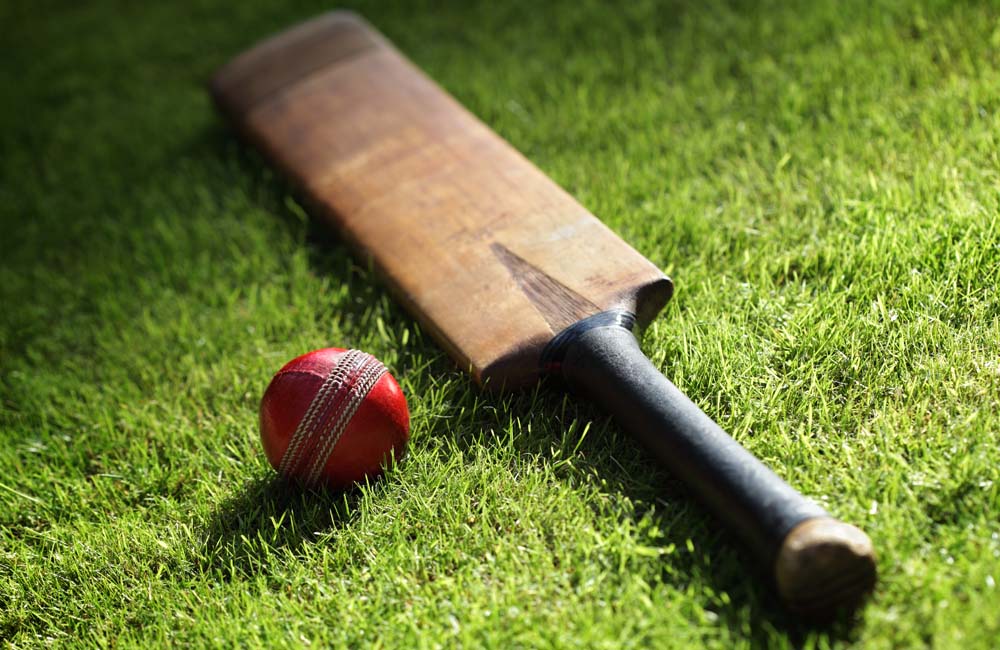 Haryana, cricket bat