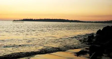 banner-image