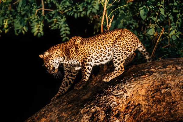 banner-image