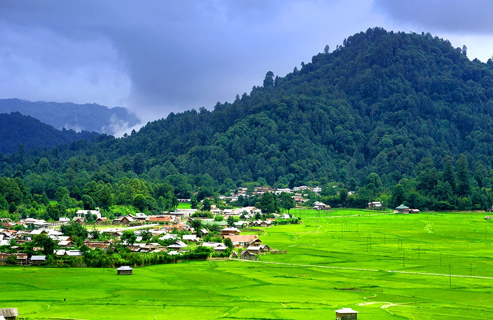 Ziro, Arunachal Pradesh