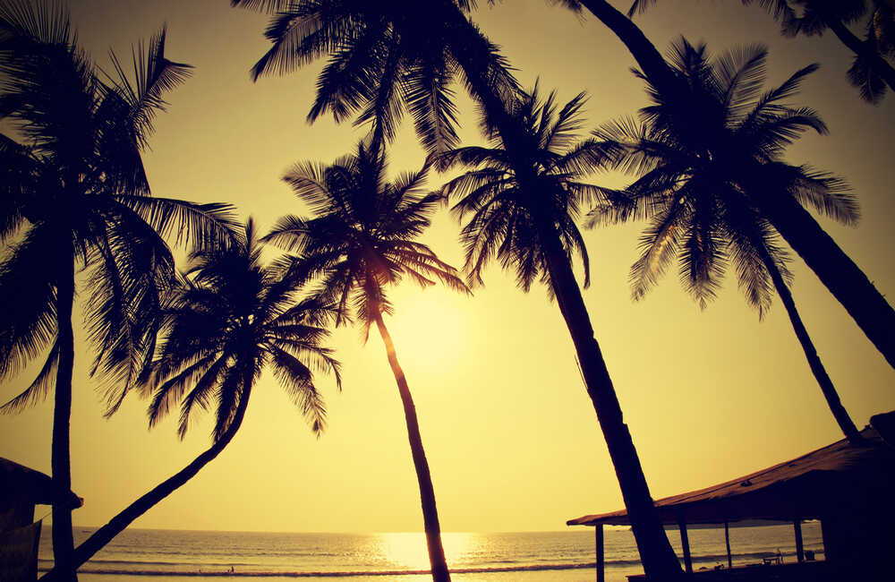 Baga Beach Hotels in Goa