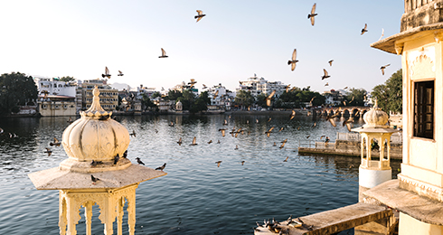 Top 15 Places to Visit in Udaipur (2024): Timings, Entry Fee