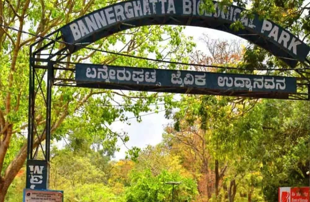 Bannerghatta National Park