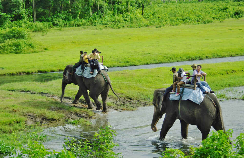 Elephant Safari at Wayanad
