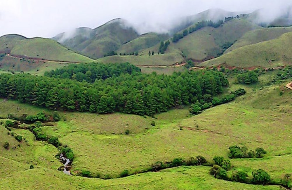 Mukurthi National Park