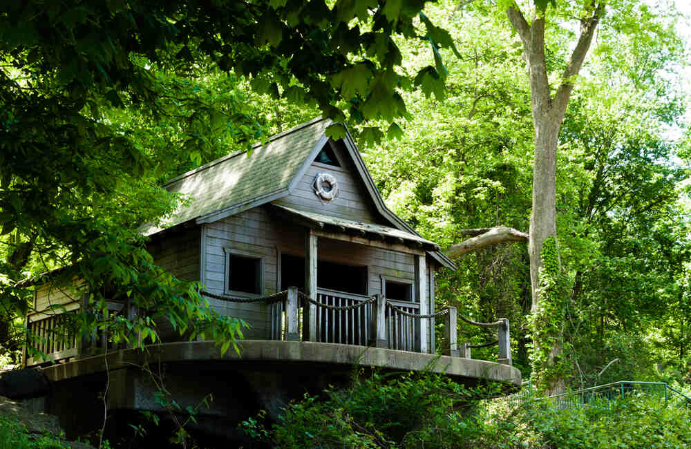 Tree House in Munnar