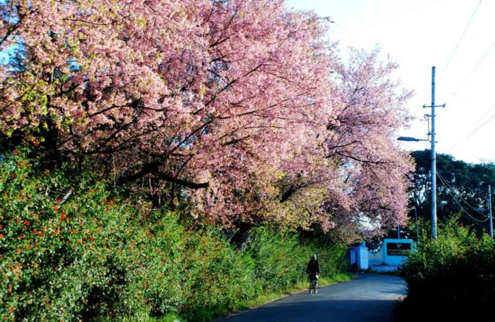 Shillong | Best place to visit in April