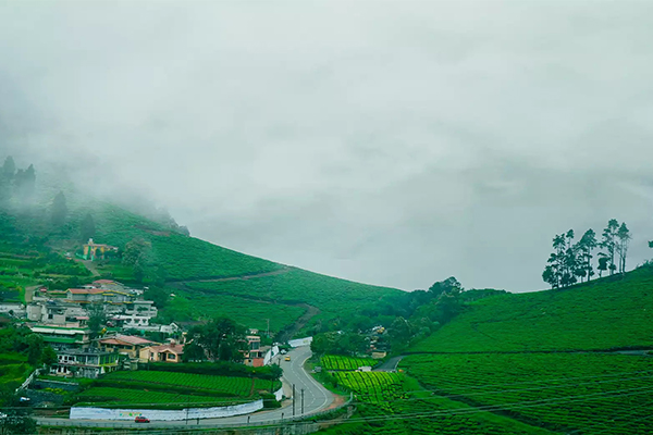 banner-image