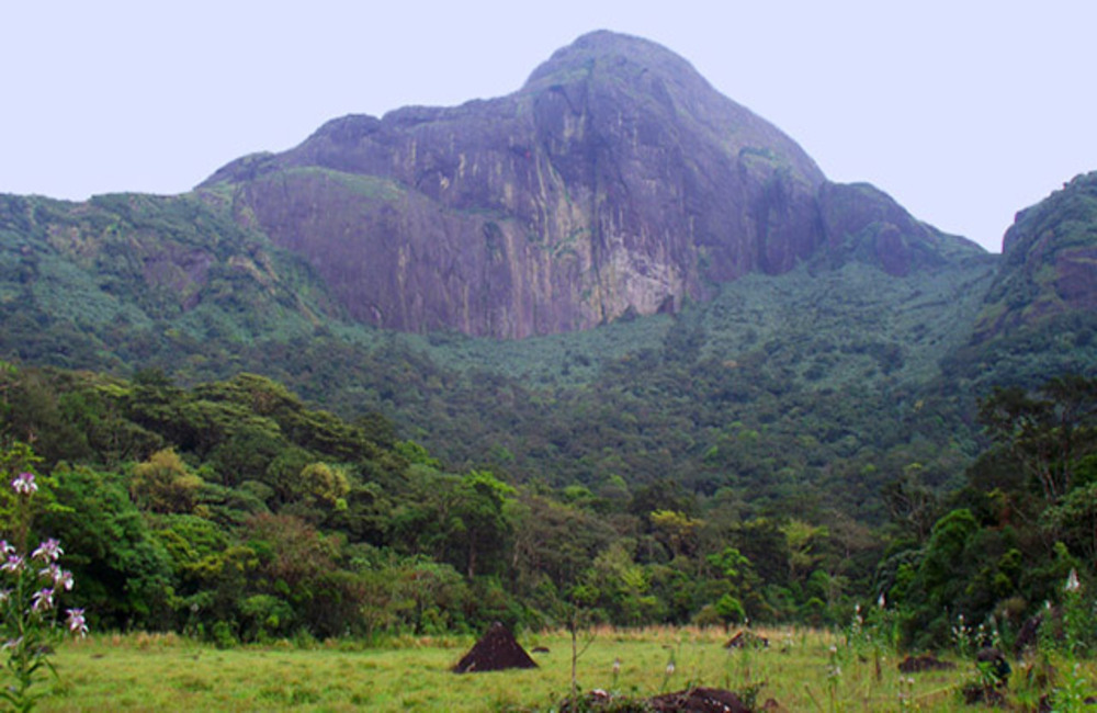 banner-image