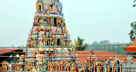 banner-image