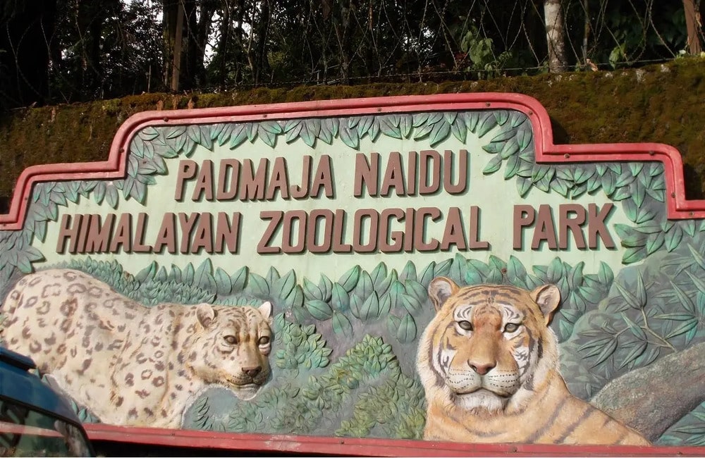 Padmaja Naidu Himalayan Zoological Park