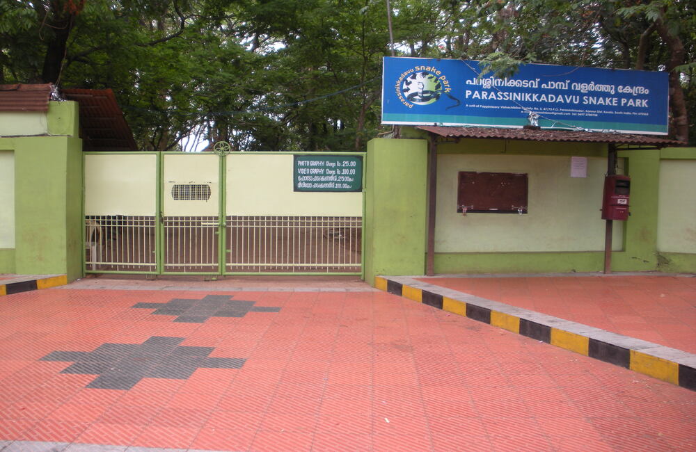 Parassinikkadavu Snake Park