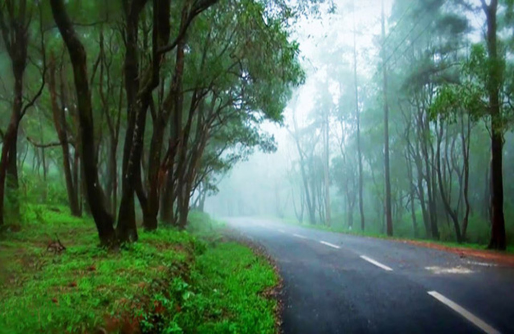 tourist spots at trivandrum Ponmudi Hill Station
