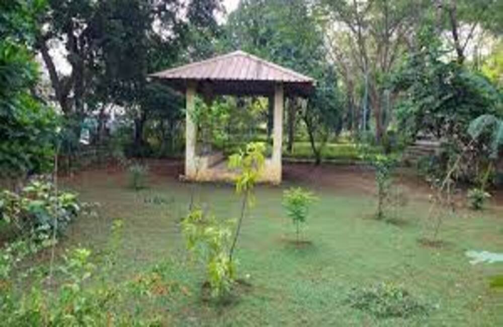 Thane Municipal Corporation’s Biodiversity Park