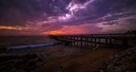 banner-image