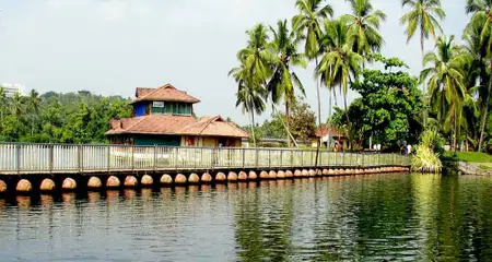 banner-image