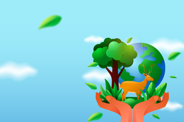banner-image