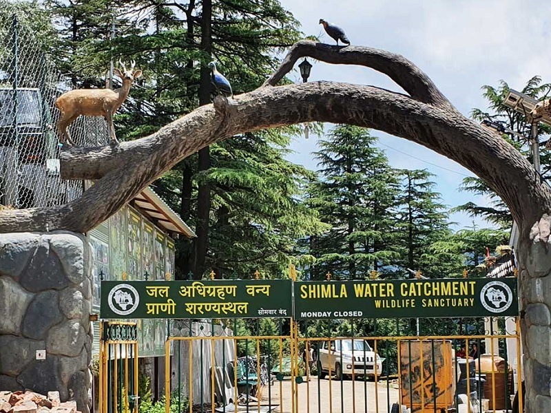 Shimla Water Catchment Wildlife Sanctuary