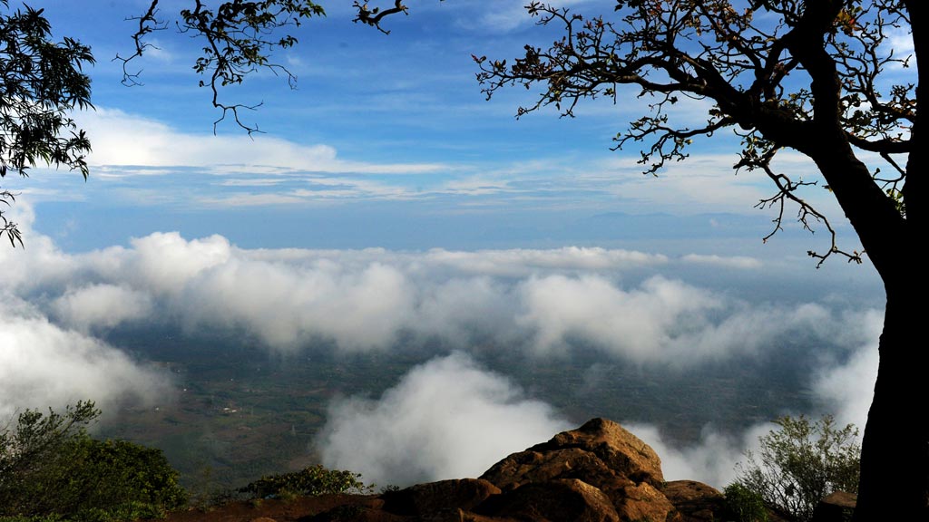 Nelliyampathy Hills