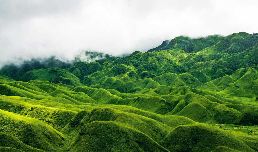 Dzukou Valley