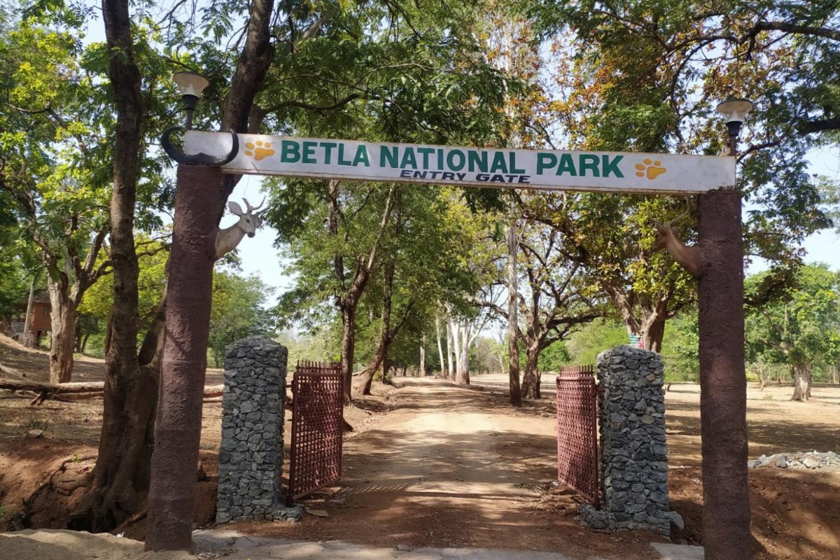 Betla National Park