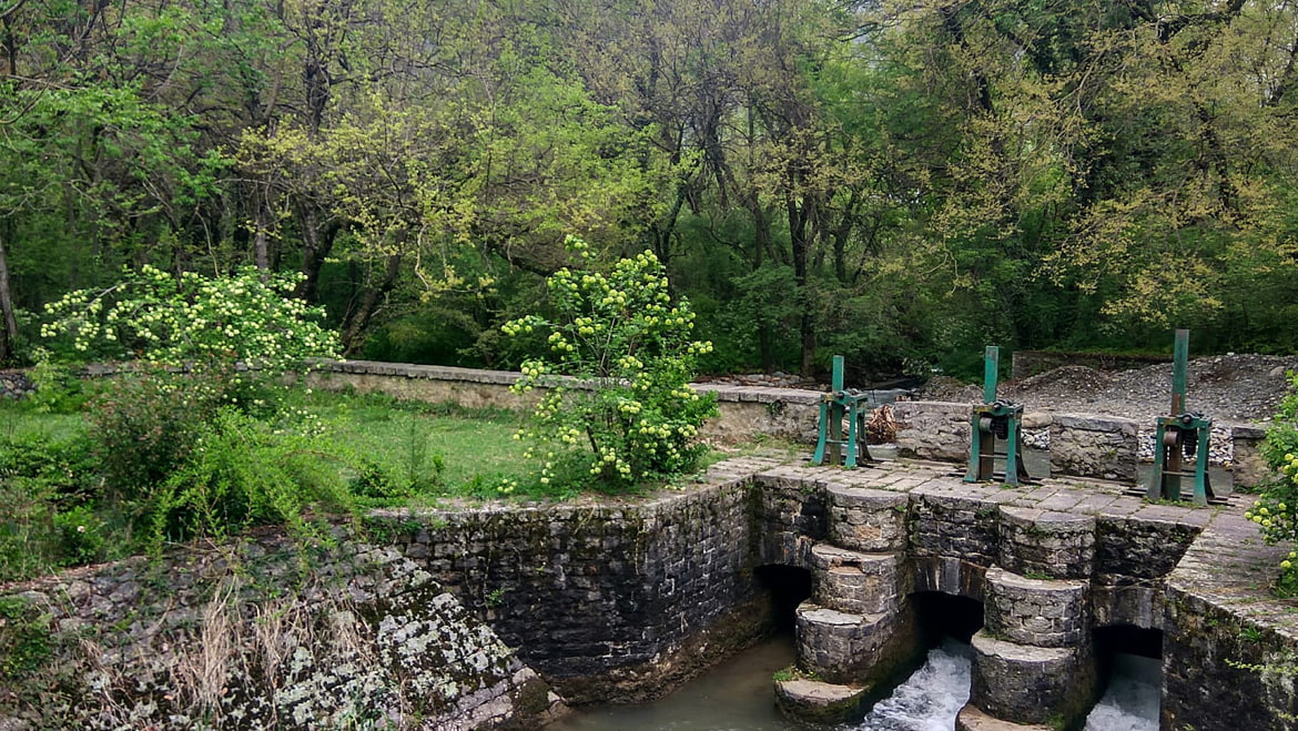 Dachigam National Park